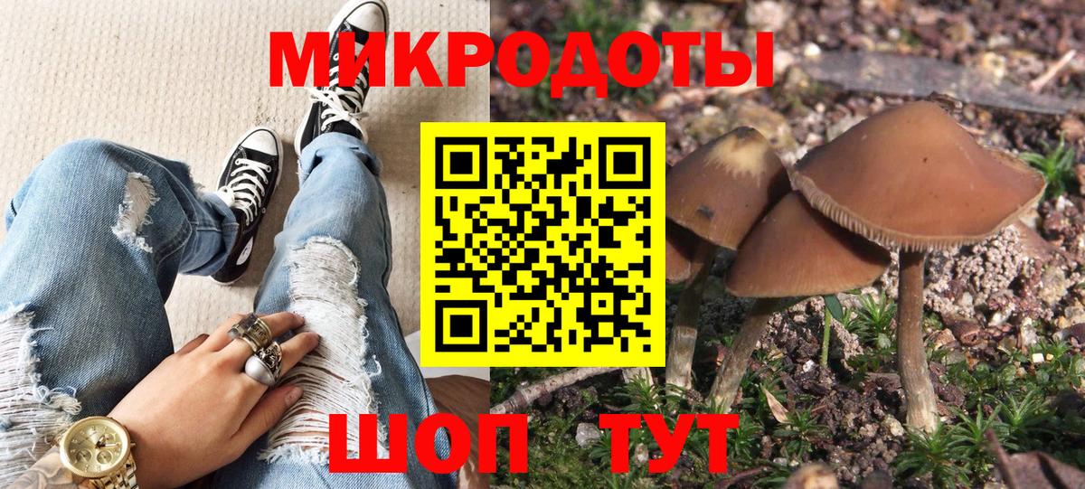 Галлюциногенные грибы Psilocybe Старая Купавна